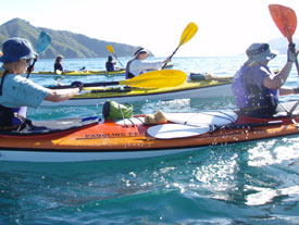 Sea kayaks. 