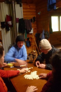 Serious banagram business in Maori Saddle Hut