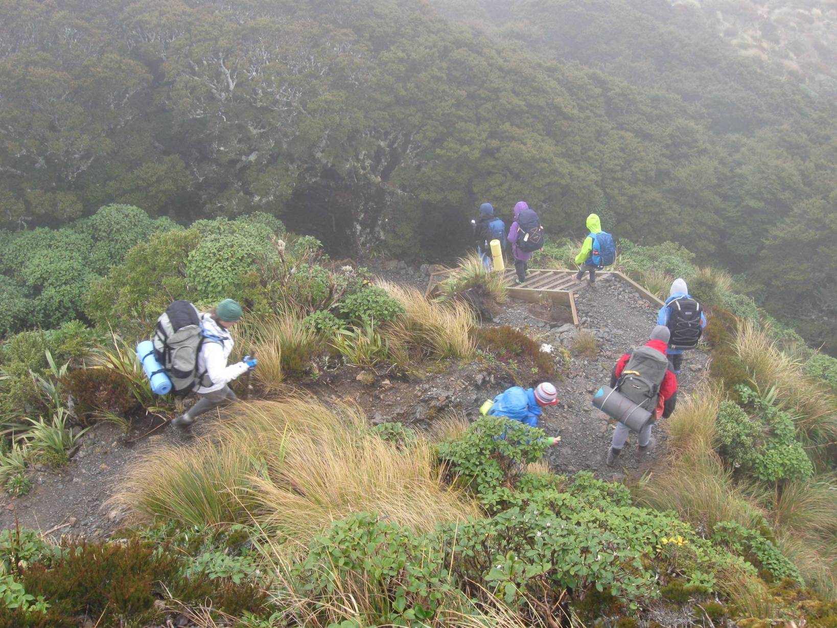 Family group tramp to Powell hut and Totara Flats hut – Wellington ...