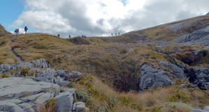 Negotiating the limestone karst landscape around Mt Arthur
