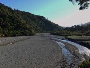 Orongorongo River