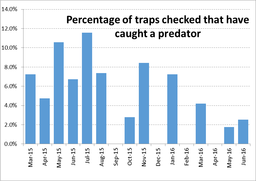 graph3 - percentage traps with predators