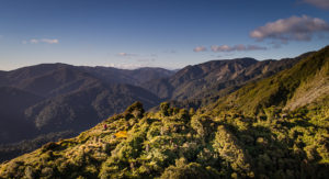 Remutaka Range