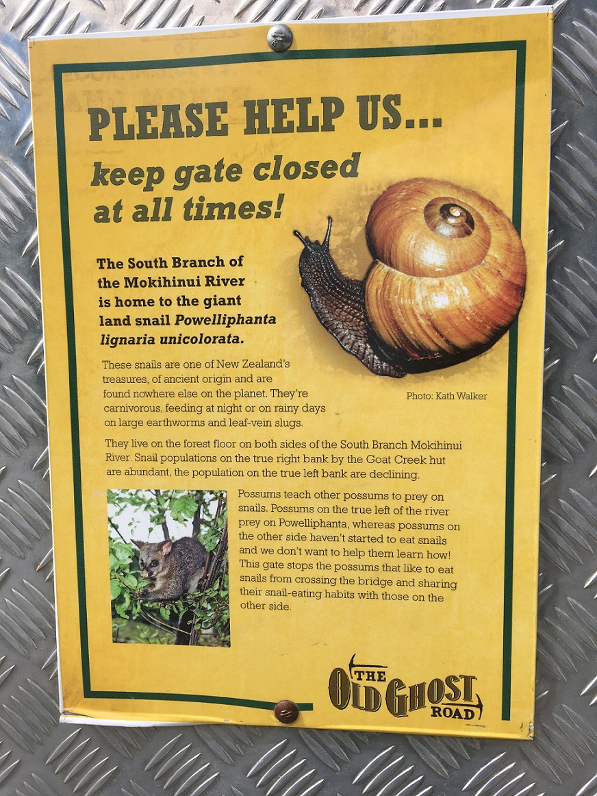 Save the snails