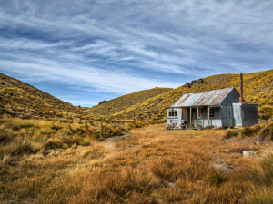 Otago Mountain Biking