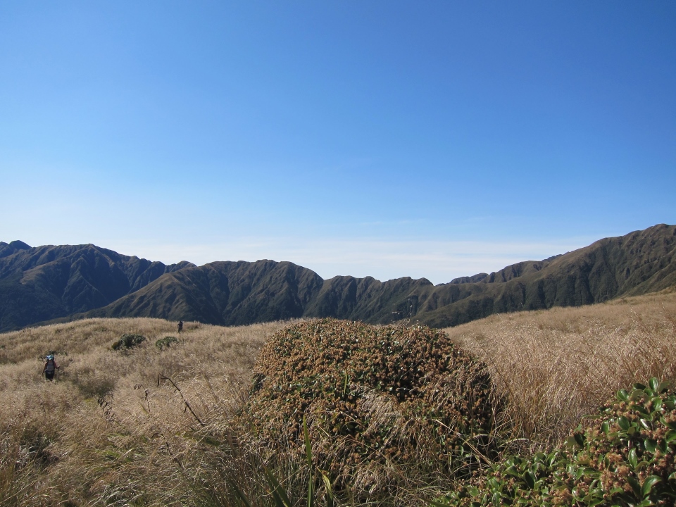 View over Tararua Ranges