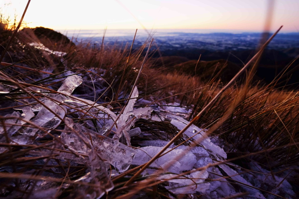 Morning ice amongst the tussock
