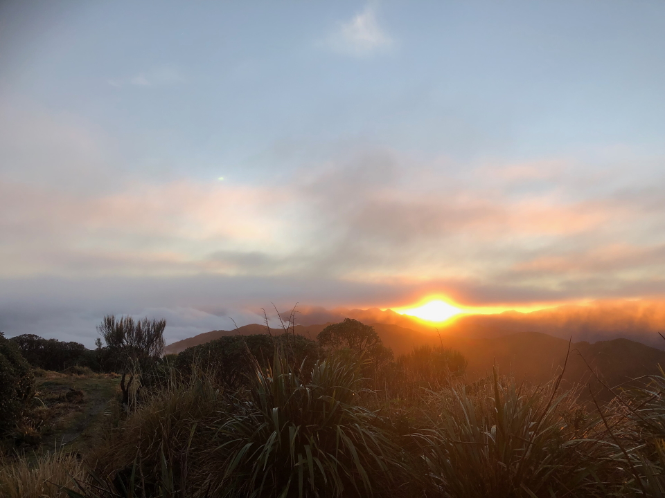 View from Waiopehu Hut at dawn