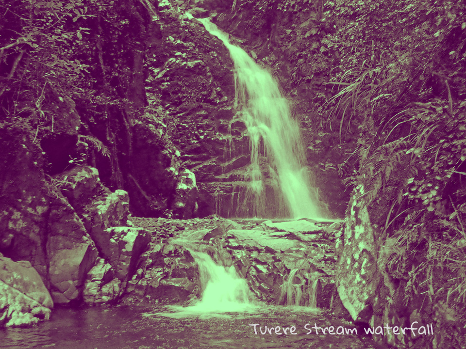 Turere Stream Waterfall