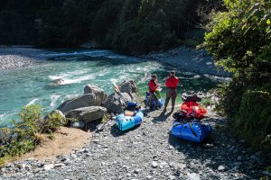 Hollyford River