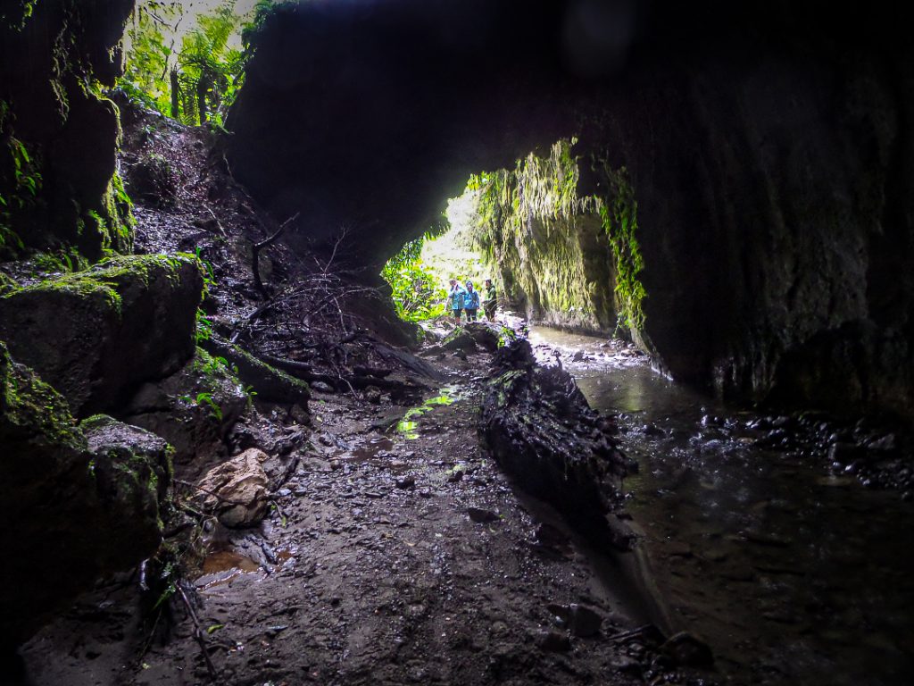 Alice Nash Memorial Heritage Lodge, Ruahine Range – Wellington Tramping ...