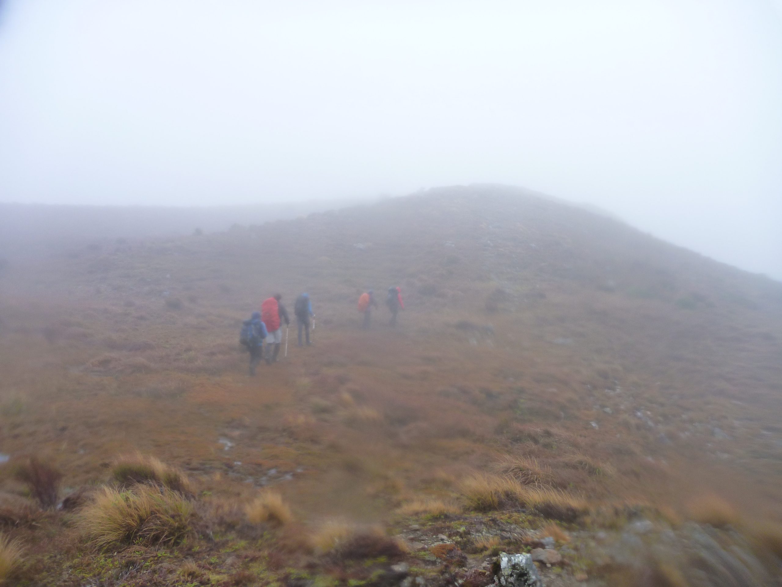 Cone Ridge Clag Wellington Tramping and Mountaineering Club