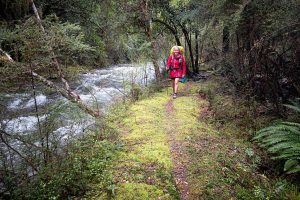 Goulter River Track