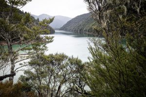 Lake Chalice