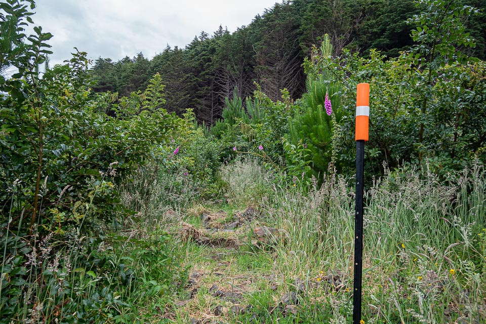 Otaki Forks temporary walking access track marker