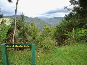 Looking NW up the Ahuahu Valley