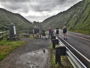 Manawatu Gorge Trail