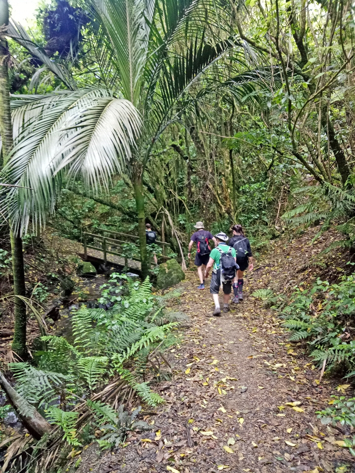 Manawatu Gorge Trail
