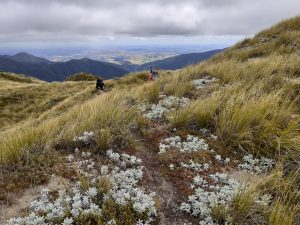 Rewarded by views as the clouds lifted