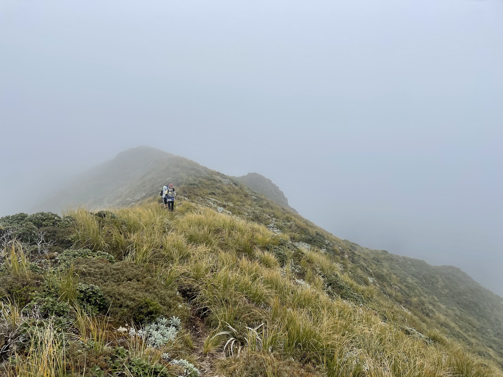 Ruahine-range-02 – Wellington Tramping and Mountaineering Club