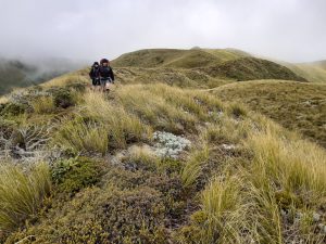 Jamie and Jane emerging from the mist