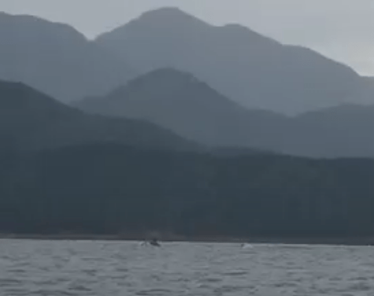Distant mountains with what may be dolphins in the sea