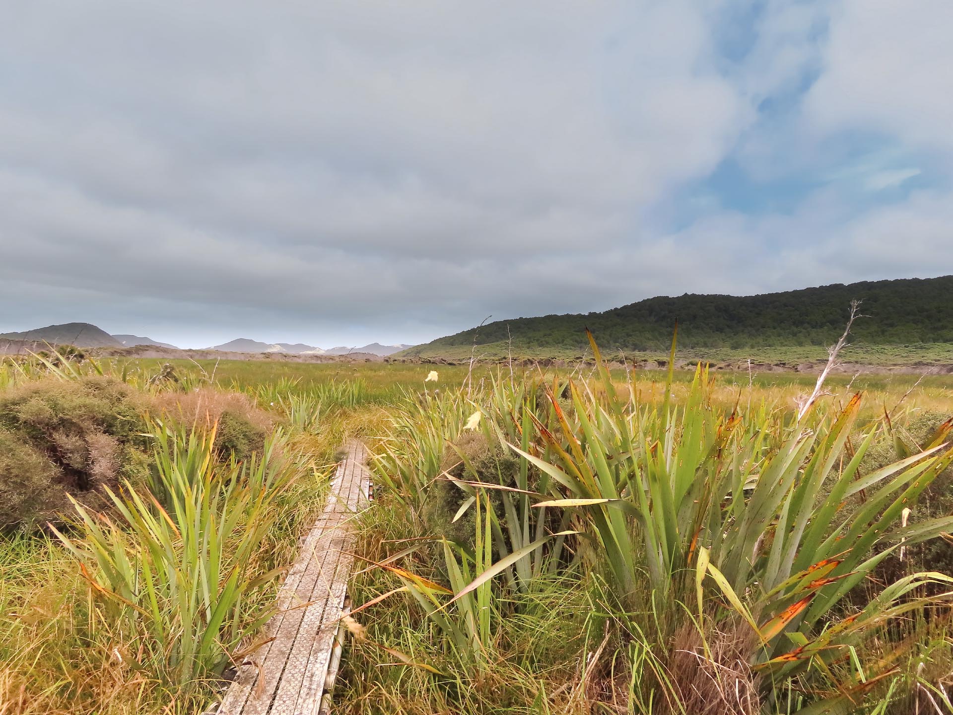 The boardwalk crossing wetlands on the way to Mason Bay