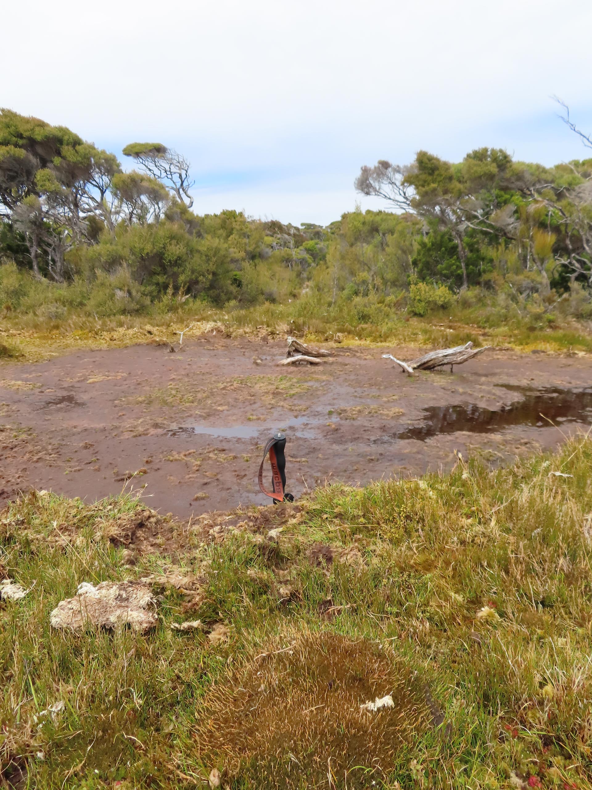 The bogs in places were deep enough to nearly swallow a walking pole