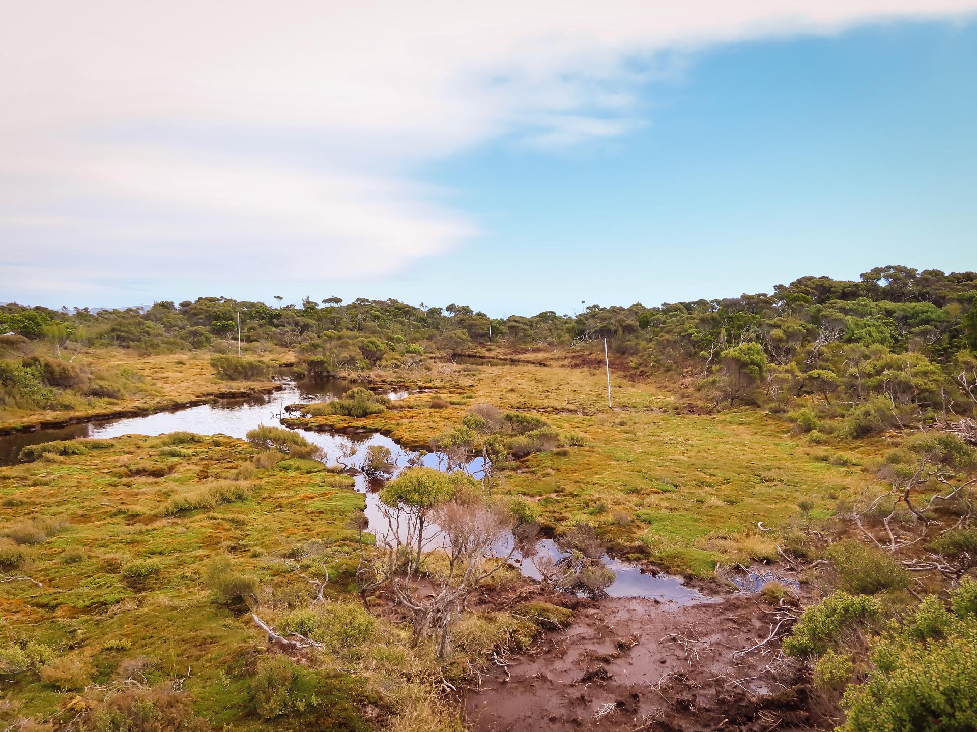 The track to Mt Adams crosses many boggy areas