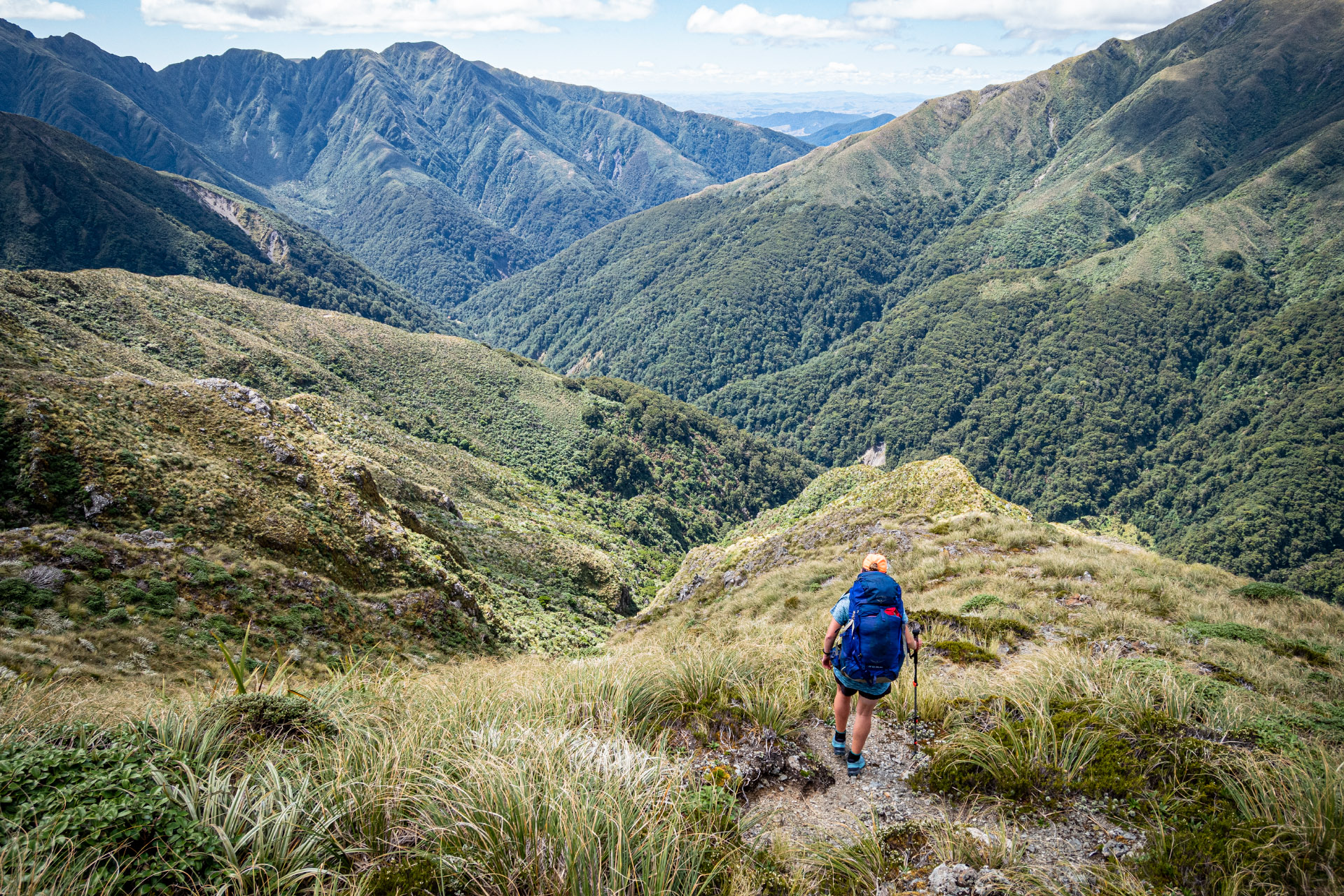 Starting down the spur into the Waingawa River from Pt 1313 on Tarn Ridge