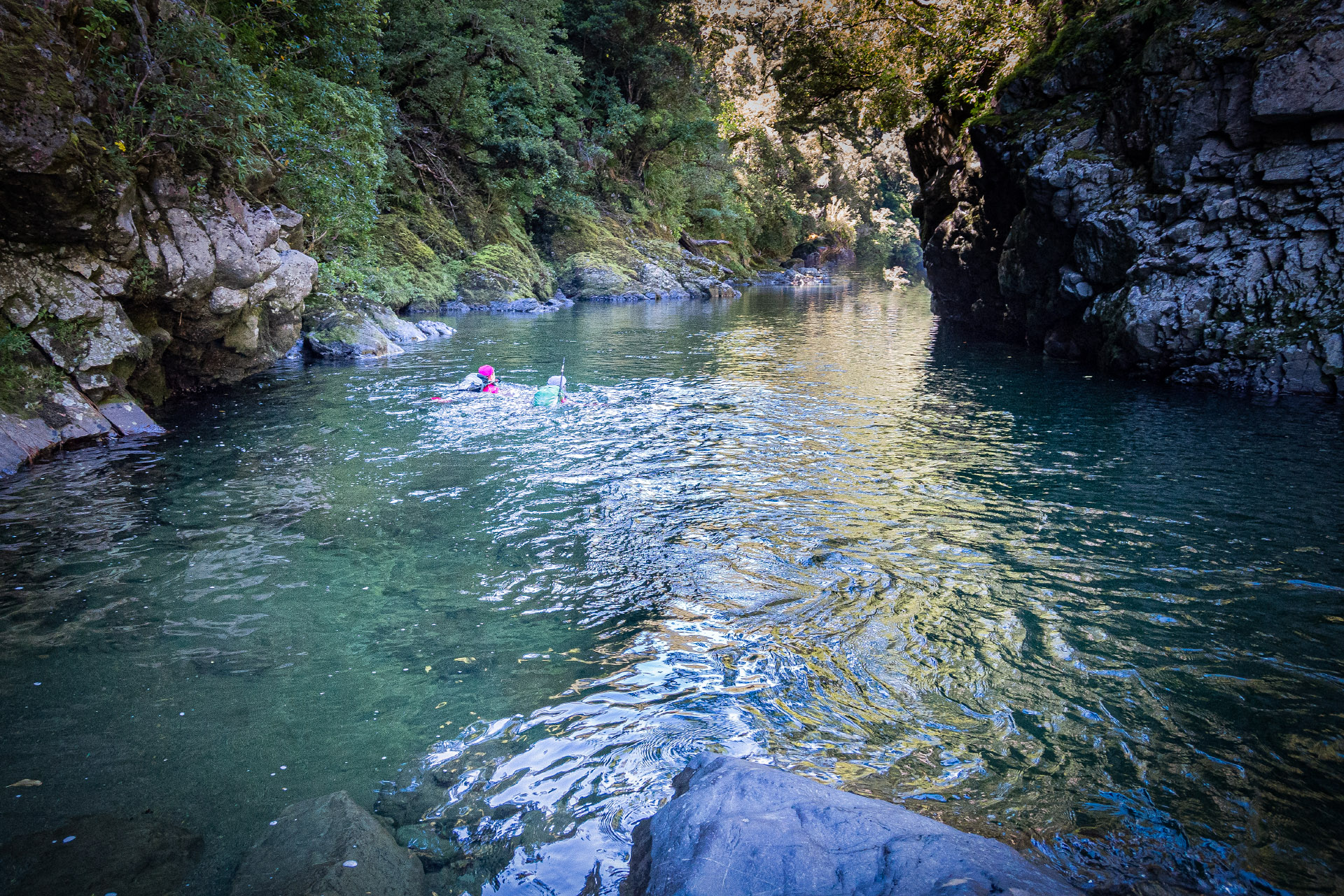 Swimming the Waiohine Gorge on a day tramp from Mid Waiohine Hut to Totara Flats