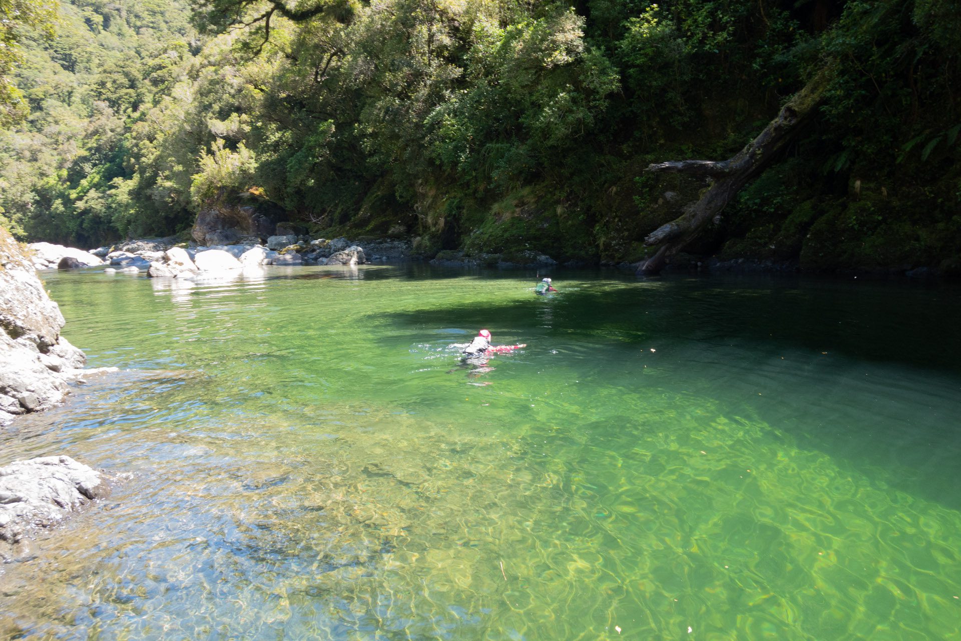 The first of many swims in the Waiohine Gorge