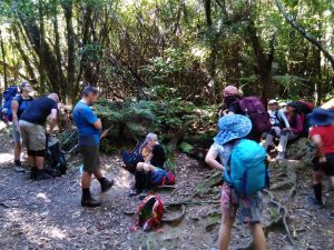 members of the WTMC families group on a tramping track