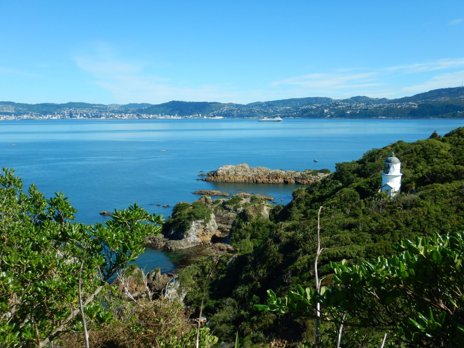 View towards Wellington city from Matiu/Somes Island on a fine day