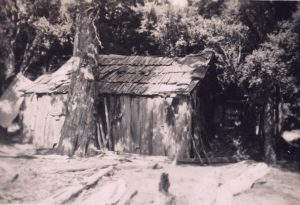 Undated old photo of Sayer Hut