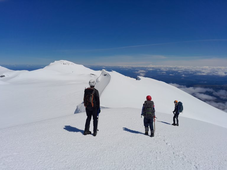 Te Heuheu with a pack of dinosaurs – Wellington Tramping and ...