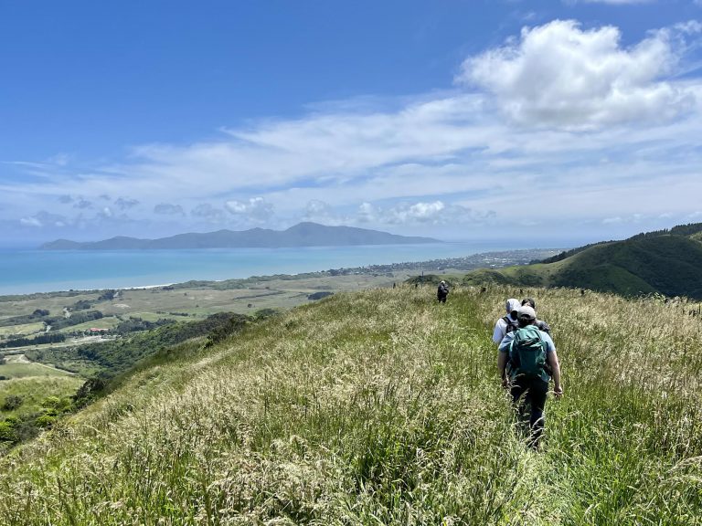 Whareroa Farm Loop Day Walk Wellington Tramping and Mountaineering Club