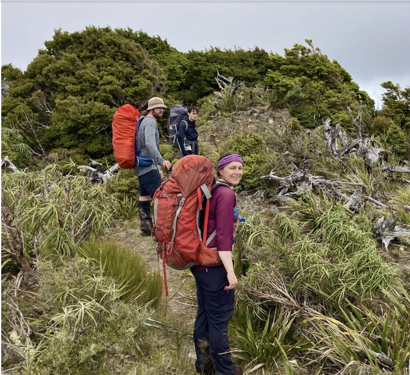 Southern Crossing – Tararua Forest Park (from Otaki Forks) – Wellington ...