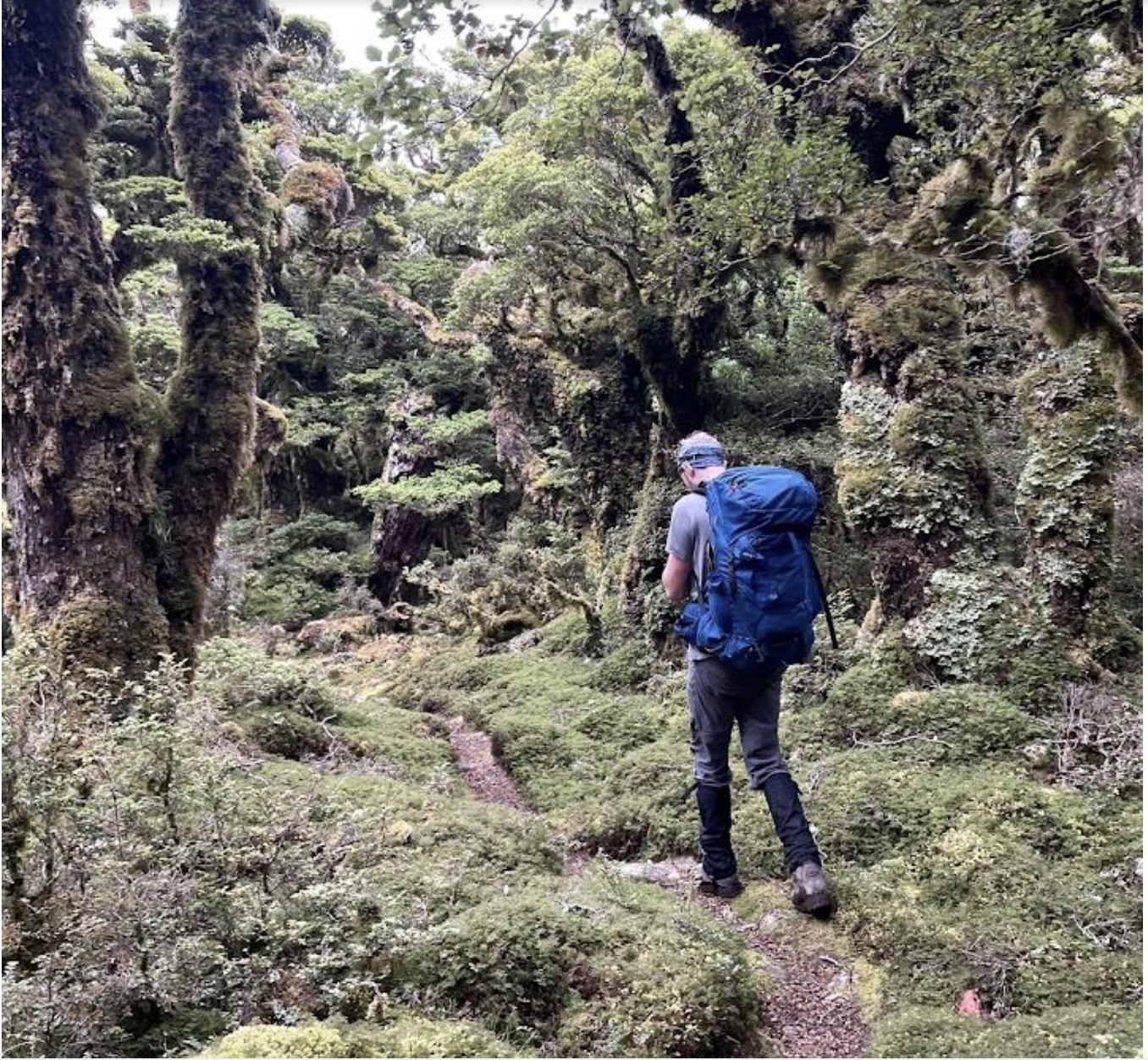 Southern Crossing – Tararua Forest Park (from Otaki Forks) – Wellington ...