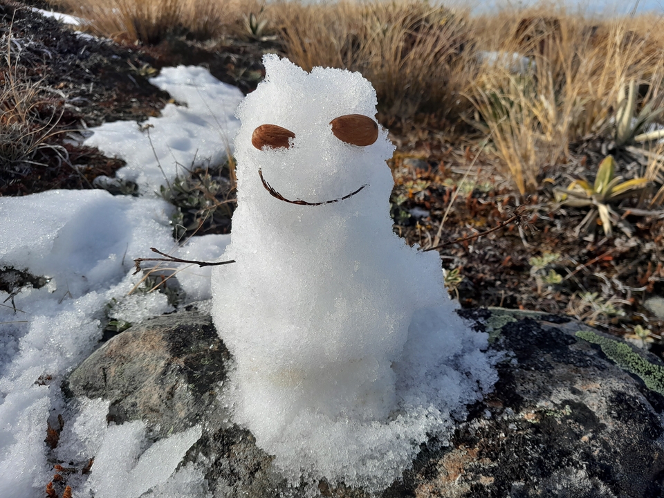 Mr Potts the snowman