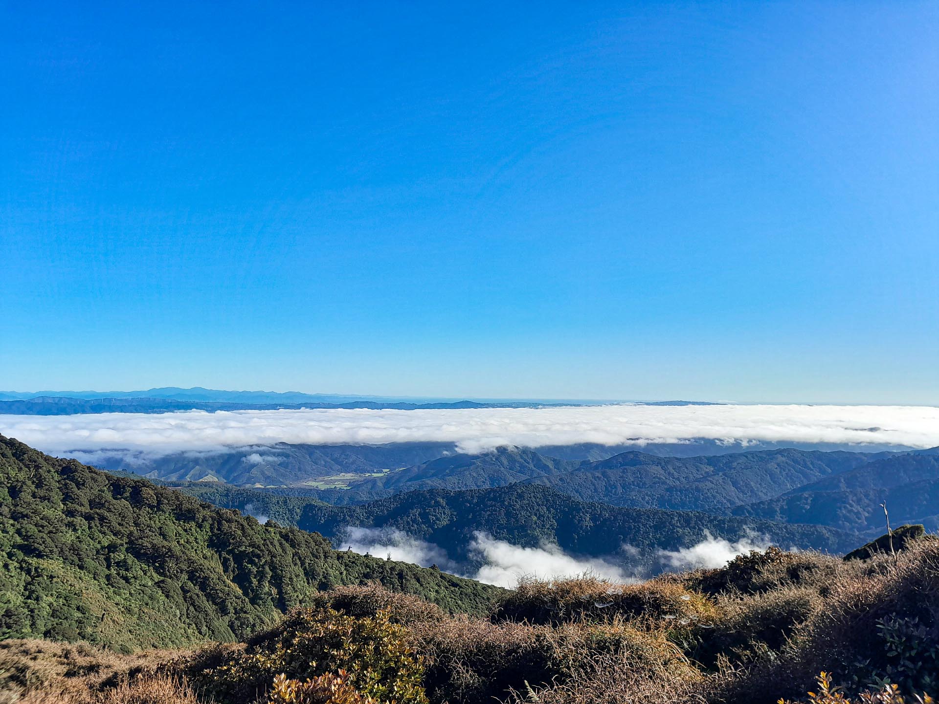 Above the clouds in the Remutaka Forest Park