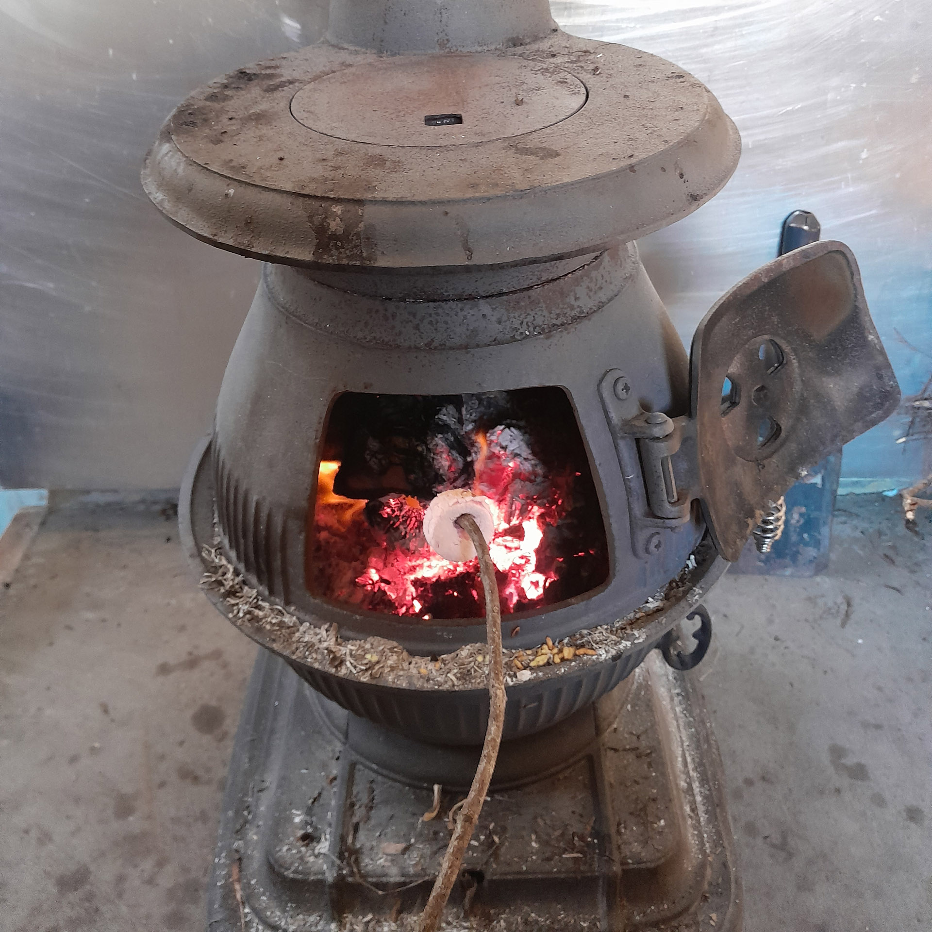 Toasting marshmallows at Jam Hut Seaward Kaikoura