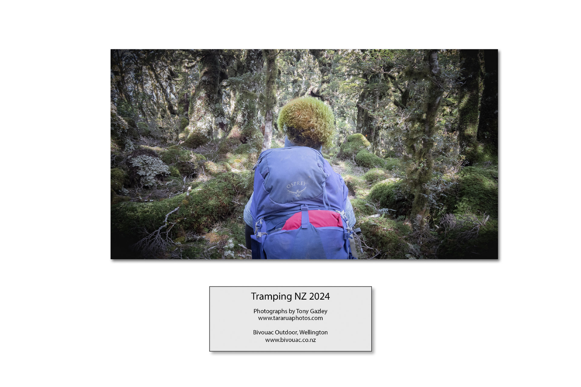 Calendar 2024 Tramping NZ26 Wellington Tramping and Mountaineering Club