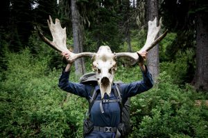 photo of a person holding a moose skull