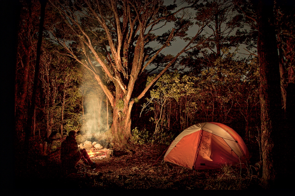 Camping among the totara trees with a cheery campfire at Totara Flats Tararua Range
