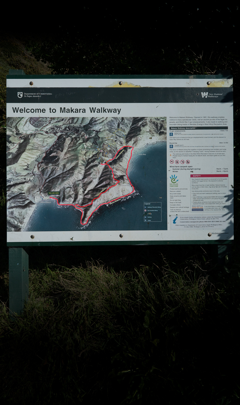 Makara Walkway DOC information board