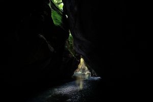 Shafts of daylight filter into the chasm from gaps in the overhanging rocks