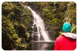 Turere Stream Waterfall Remutaka Forest Park