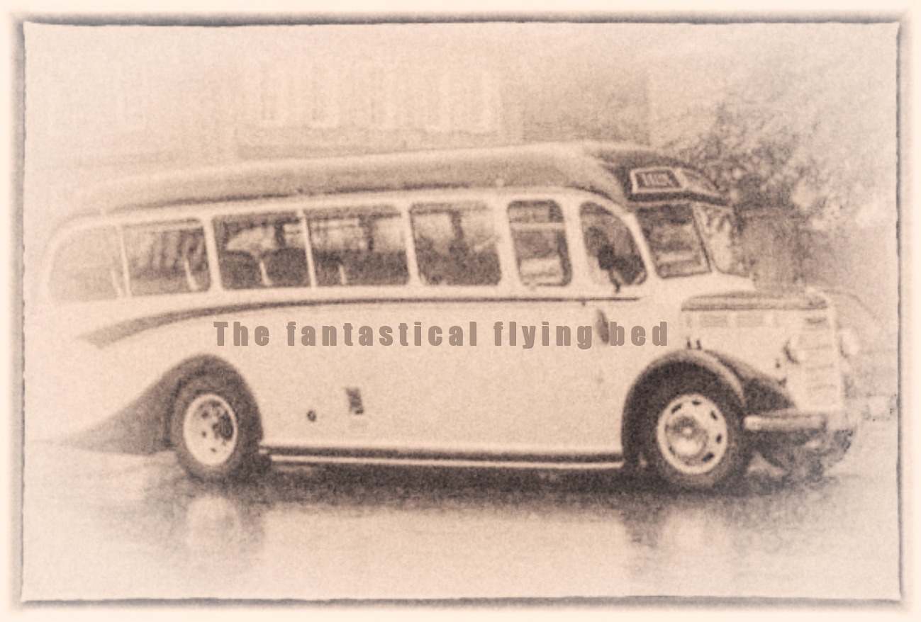The fantastical flying bed bus