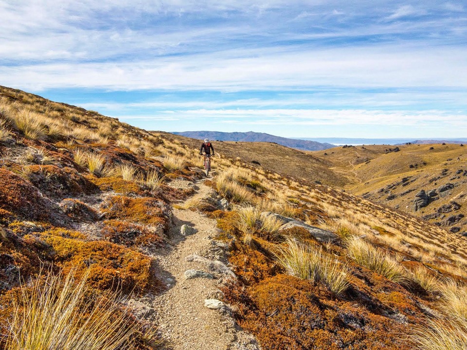 Otago-Mountain-Biking-14 – Wellington Tramping and Mountaineering Club